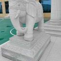 池州 白麻花岗岩动物异形石雕-大象
