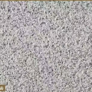 池州白麻荔枝面