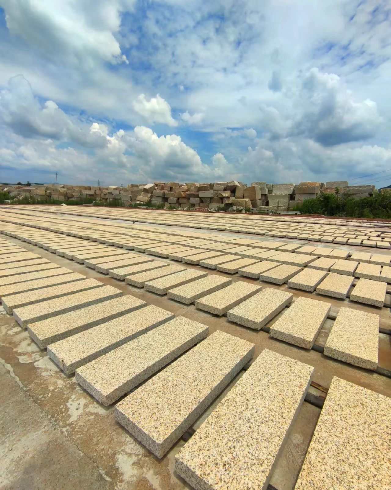 池州 黄金麻花岗岩荔枝面地铺石防护中