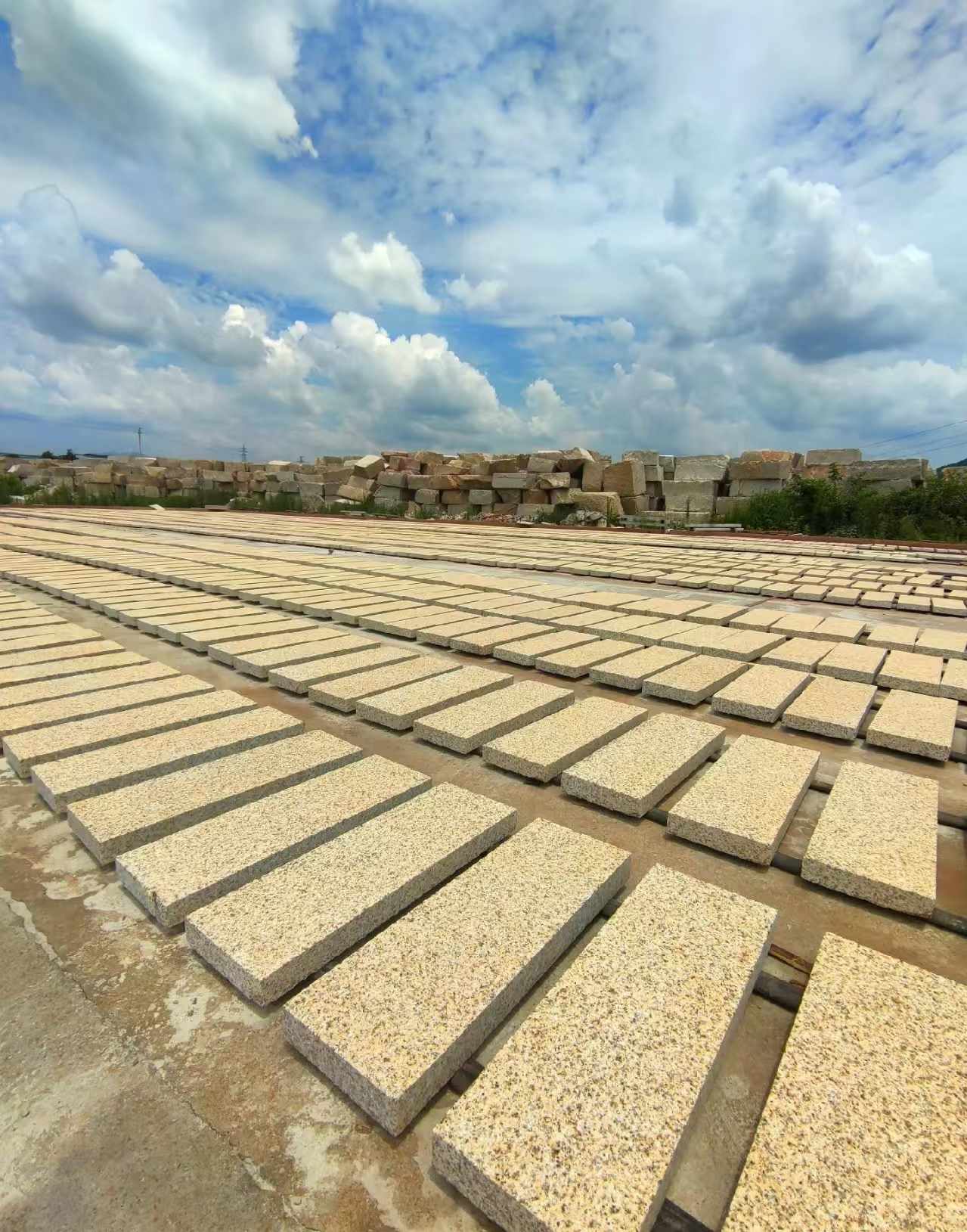 池州 黄金麻荔枝面花岗岩石材地铺石防护中