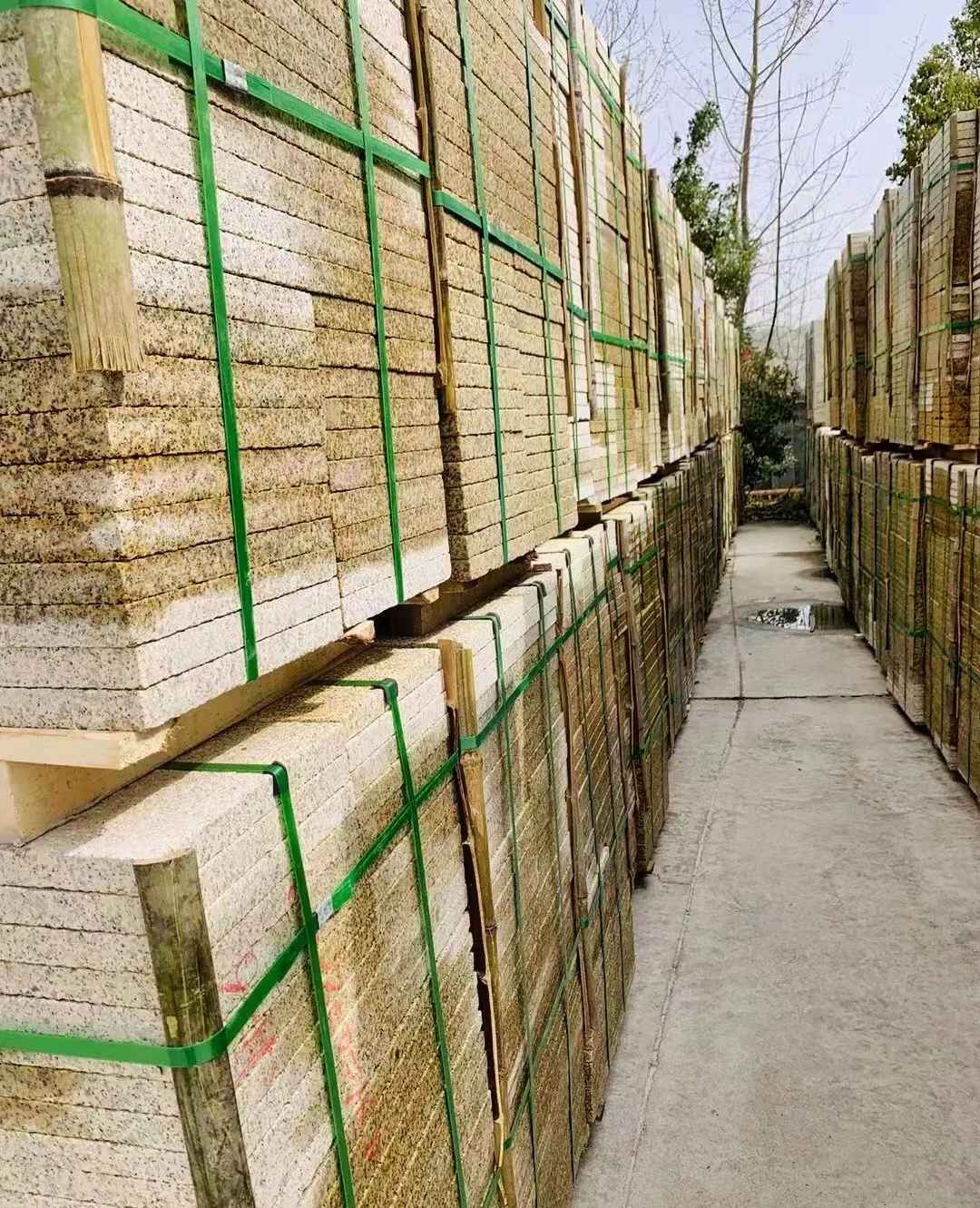 池州 黄金麻花岗岩荔枝面地铺石