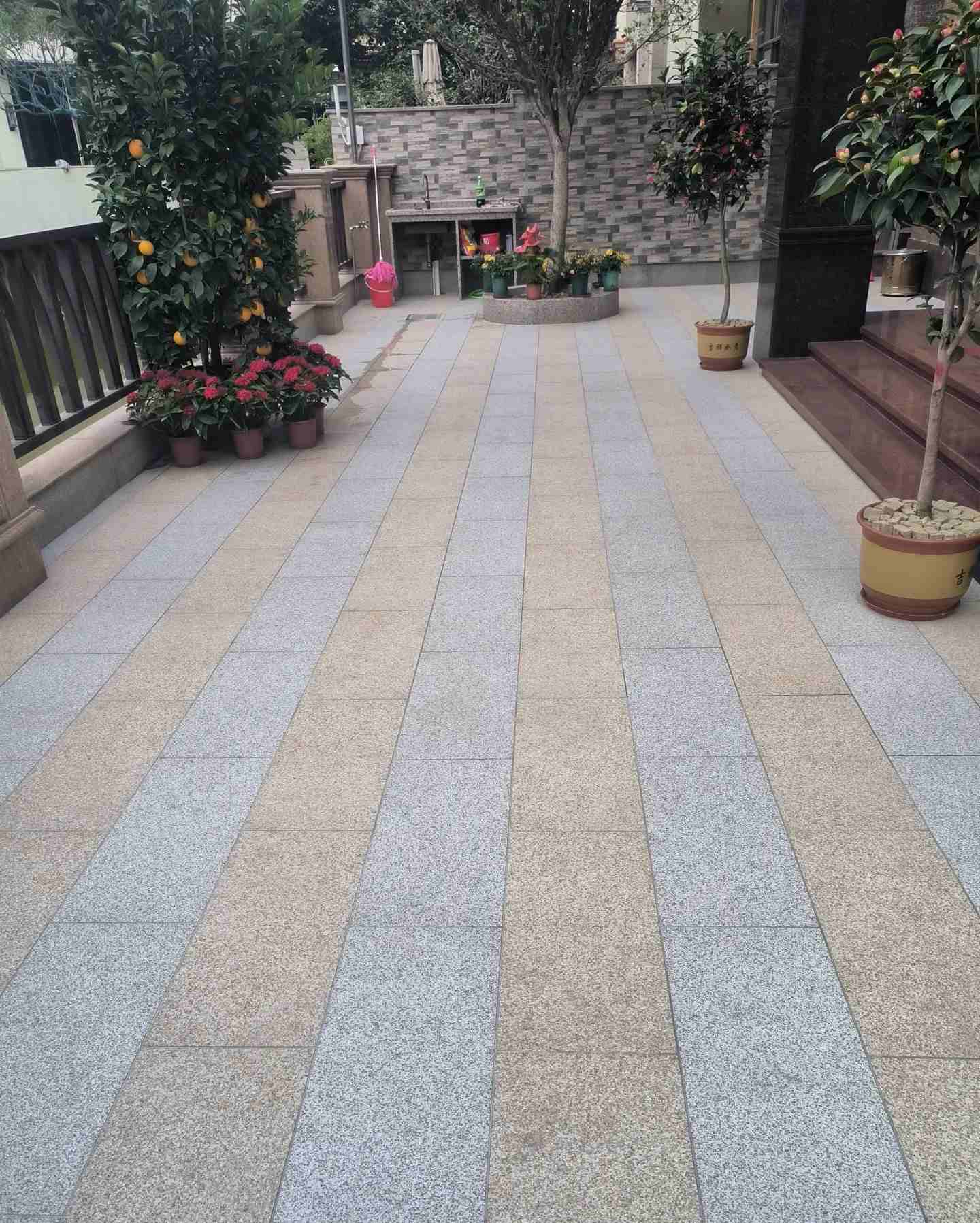 池州 黄金麻白麻荔枝面庭院铺装展示